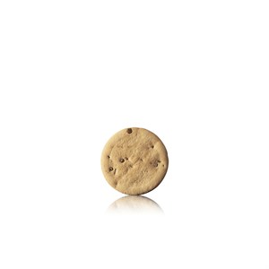 BISCOTTO CIOCCOGEL KG 5.2 PZ 270 BREAK&GO