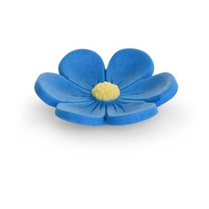 ANEMONE FLUO ASS ZUCC PZ 120 MODECOR