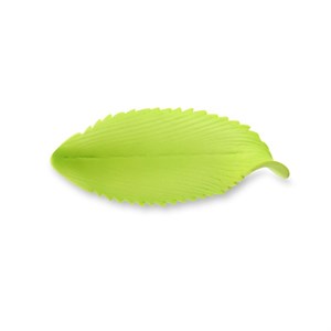 Foglie Lanceolate Zucchero Pz 100 Modecor