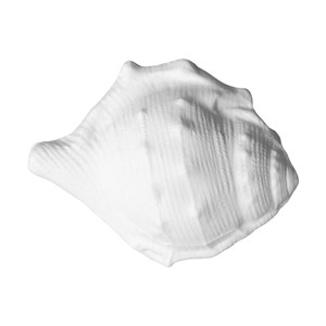 KIT CONCHIGLIE BIANCHE ZUCC (8PZ) MODECOR