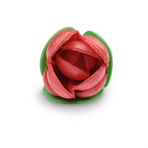 Rosa Cialda Rossa C/foglie Pz 180 Modecor