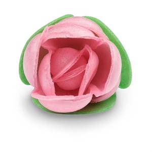 Rosa Cialda Rosa C/foglie Pz 180 Modecor