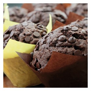 Wondermuffin Choc Mix Kg 10 Irca