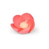 4301_PRIMULA-CIALDA-ASSORT-(5-COLOR)-PZ-200-MODE.JPG