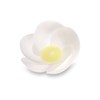 4302_PRIMULA-CIALDA-ASSORT-(5-COLOR)-PZ-200-MODE.JPG