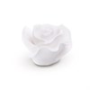 4881_SET-ROSE-BIANCHE-ZUCCHERO-PZ-17-MODECOR.JPG