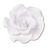 4882_SET-ROSE-BIANCHE-ZUCCHERO-PZ-17-MODECOR.JPG