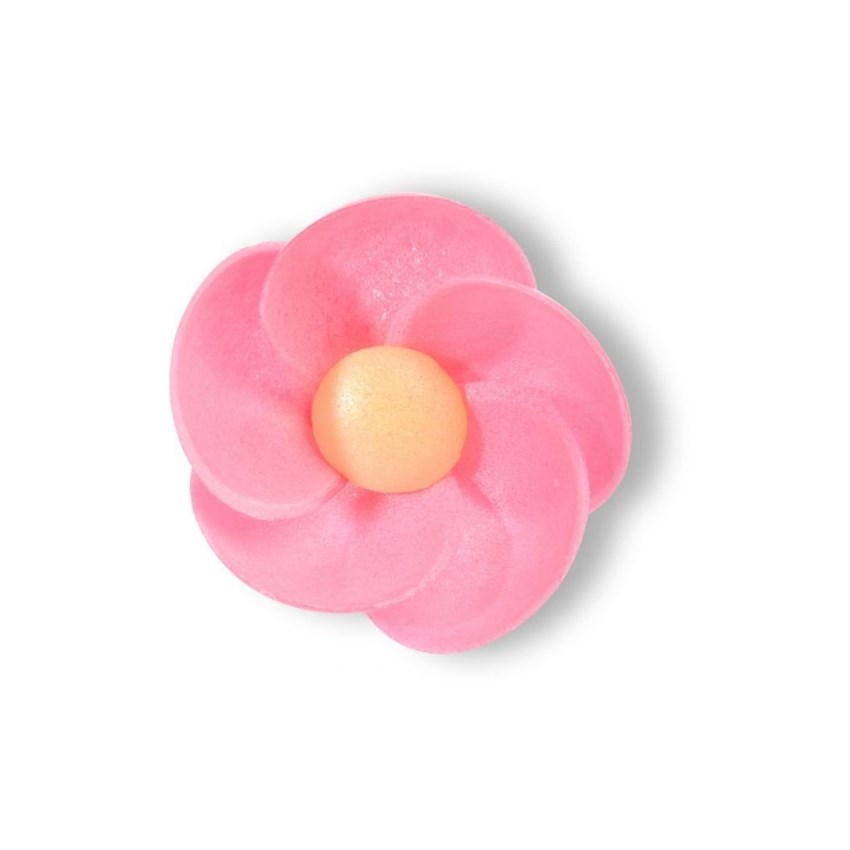4303_PRIMULA-CIALDA-ASSORT-(5-COLOR)-PZ-200-MODE.JPG