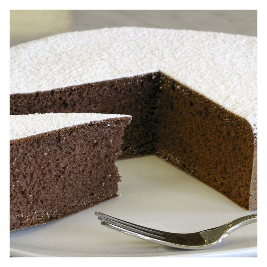 4846_IRCA-GENOISE-CHOC-KG-10-IRCA.JPG