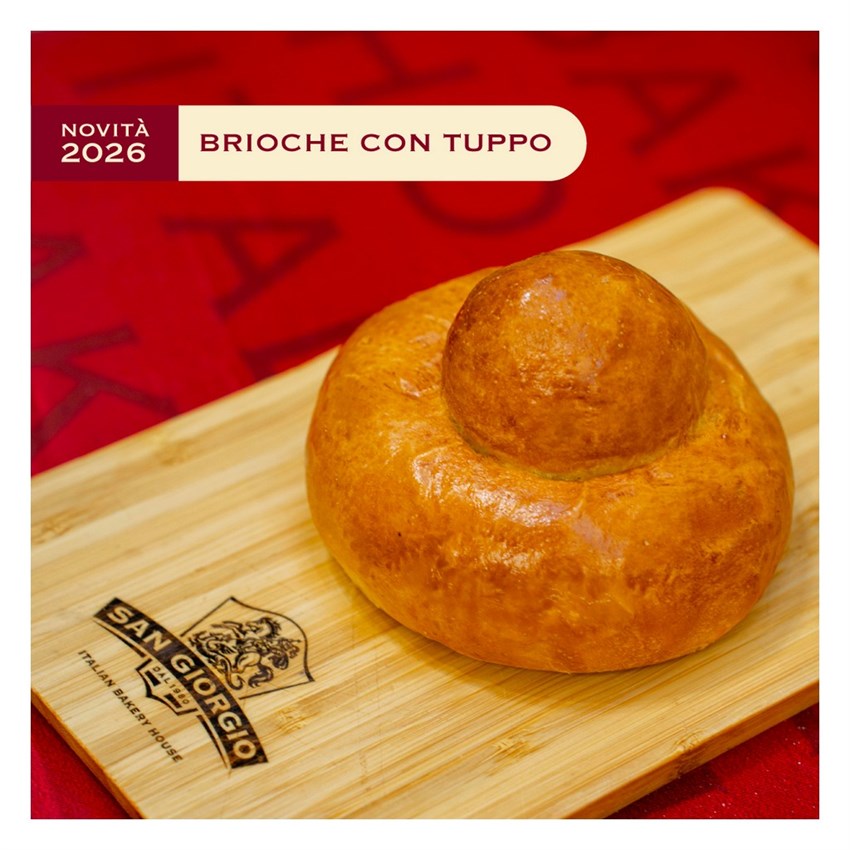 4869_BRIOCHE-CON-TUPPO-GR-90-PZ-20-SG.JPG