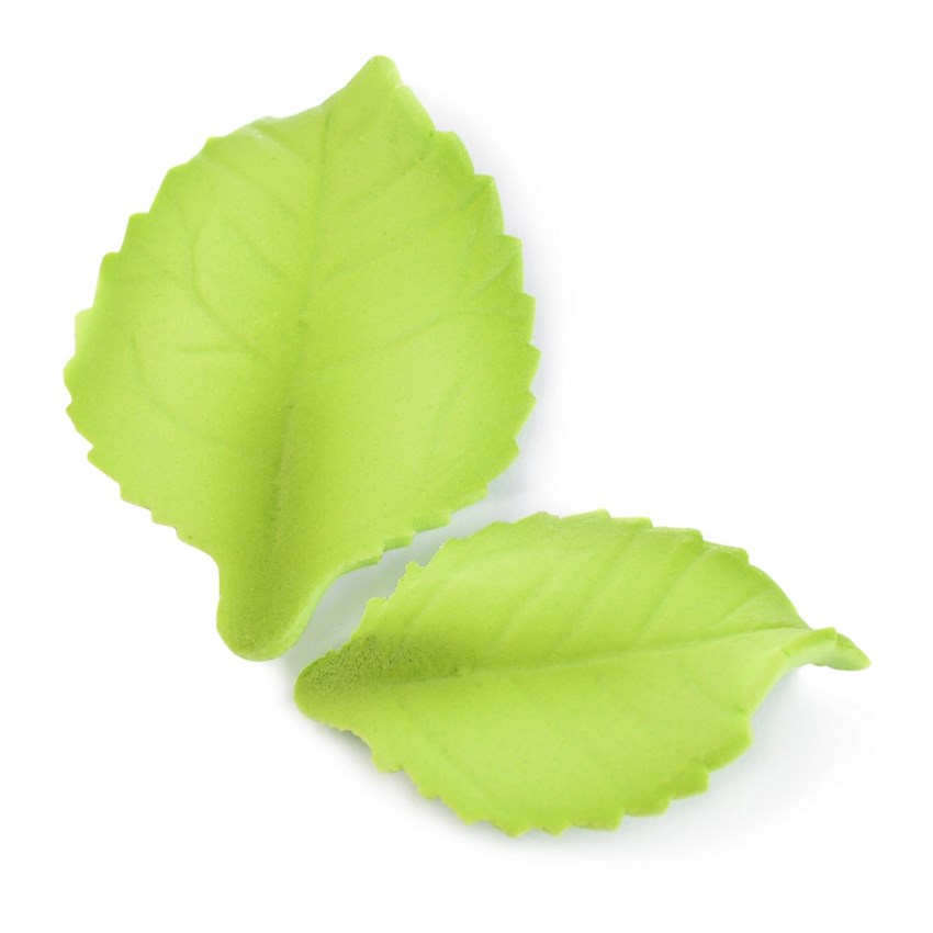 4889_FOGLIA-OVATA-ZUCCHERO-PZ-100-MODECOR.JPG